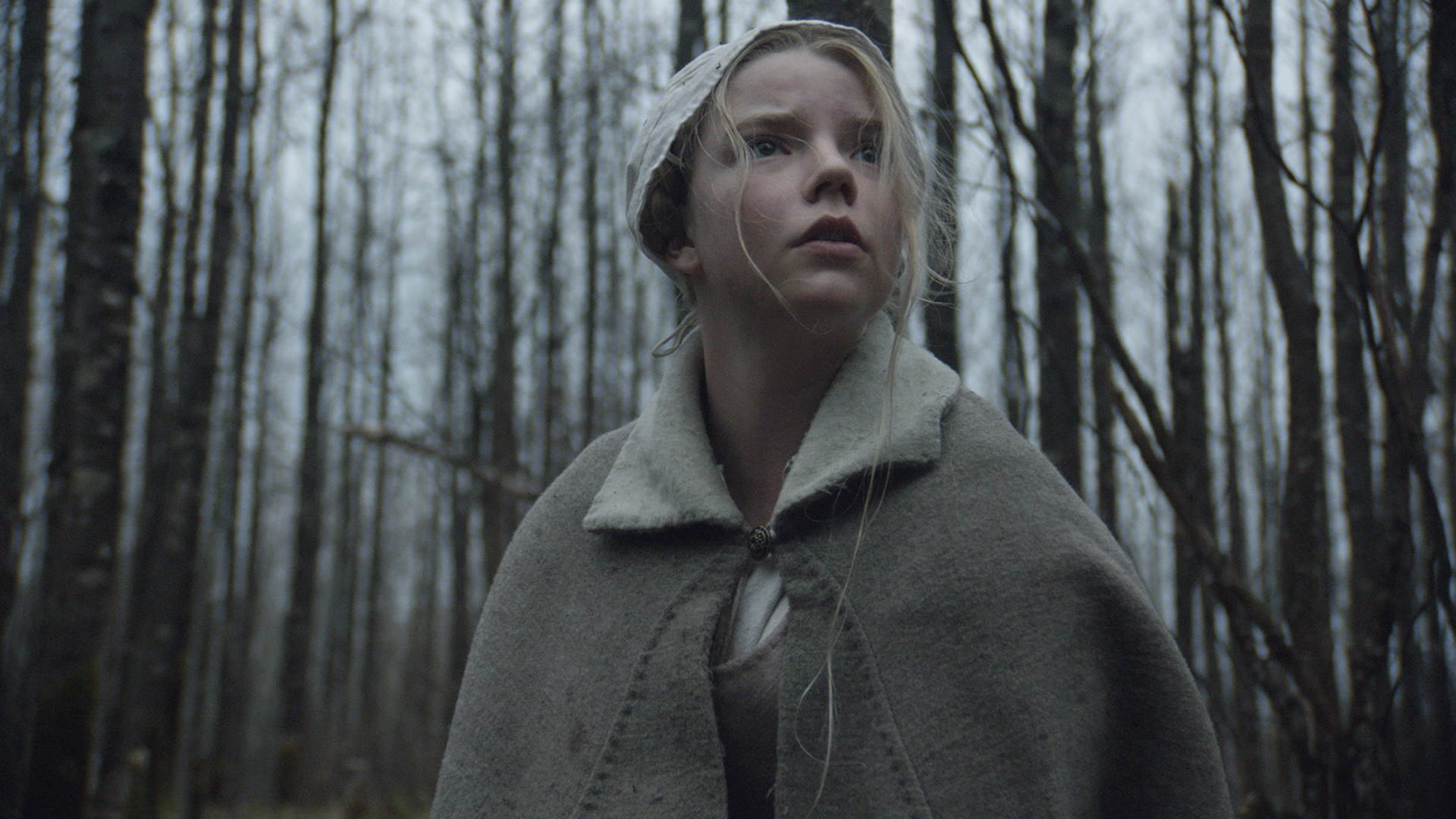 15 Best Horror Movies Set In The Woods