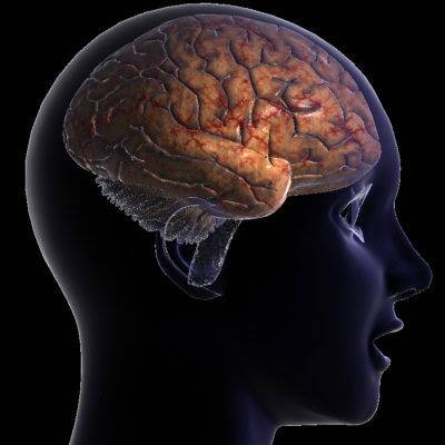 The Challenging Left Brain Vs Right Brain Trick