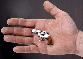 World’s Smallest Gun