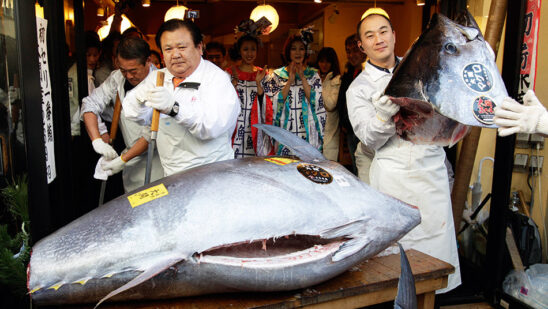 World's Most Expensive Edible Fish Sale