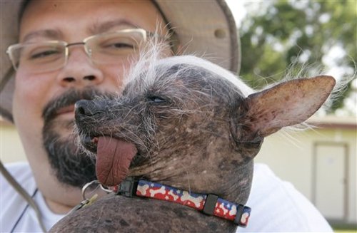 World's Ugliest Dog Contest