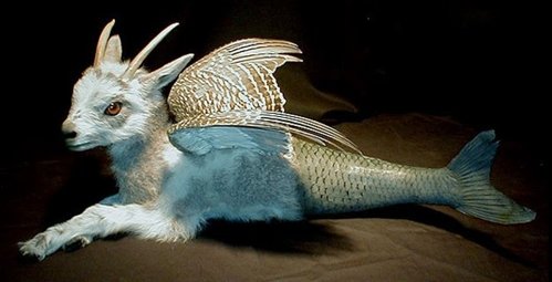 Tantalizing Taxidermy Hoax Creatures