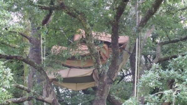 Tree Top Camping UK