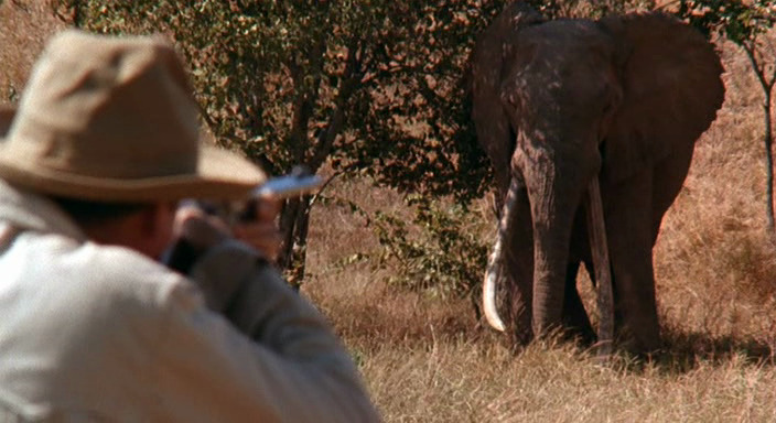 Films to Inspire Real Life African Adventures