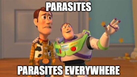 5 Most Disgusting Parasites That Infect Human Beings