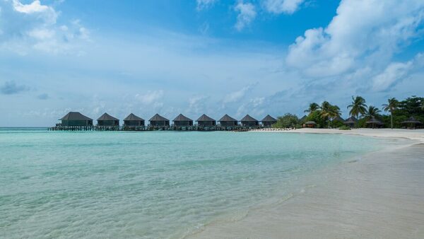The Maldives