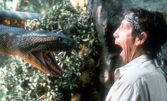 15 Best Snake Movies of All Time