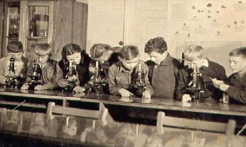 first microscope