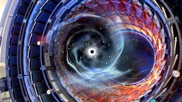 large hadron collider black hole
