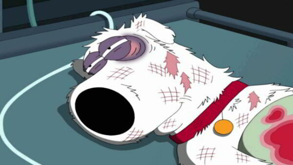  The Reason Why Brian Griffin Was Killed Off