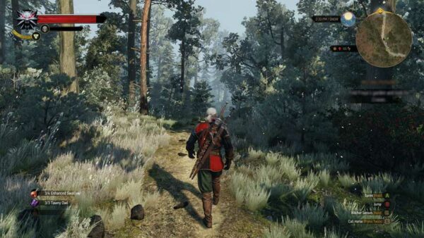 The Witcher 3 Wild Hunt Game