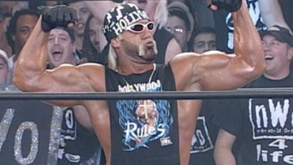 Hulk Hogan as Hollywood Hogan