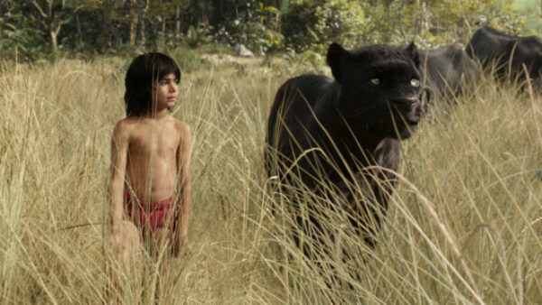 Neel Sethi as Mowgli