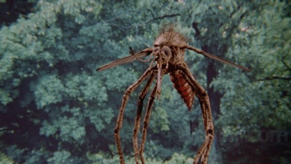 The Mosquito 1995 bug film