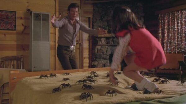 kingdom of spiders 1977