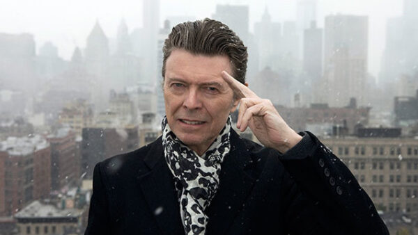 David Bowie Musician