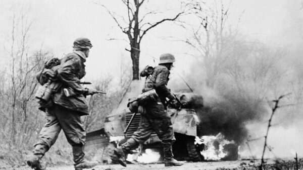 US soldiers abandoned thousands of cars they had plundered from Nazi to rot in a forest in Belgium