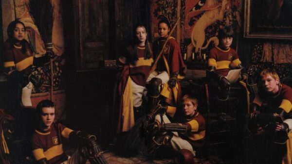 Gryffindor Wins The Quidditch Cup