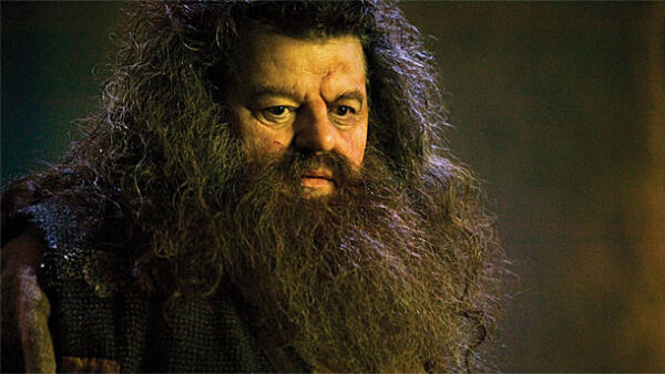 Rubeus Hagrid Robbie Coltrane