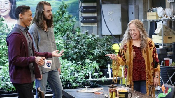 Disjointed 2017 2018
