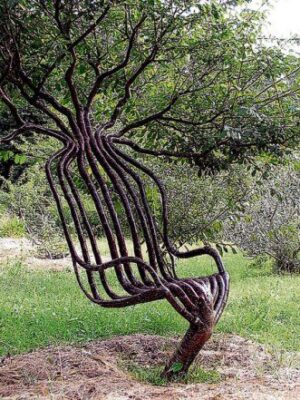 Chair Trees