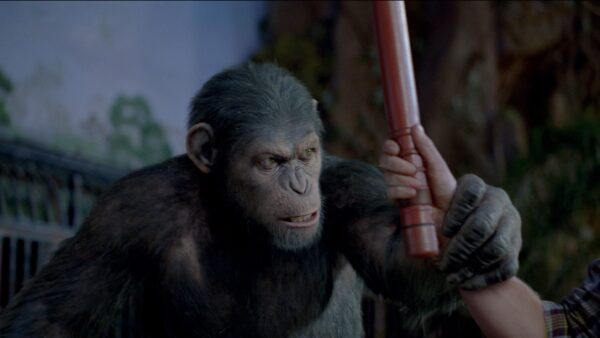 Rise of the planet of the apes 2011